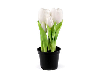 Umělé tulipány v květináči - 1 ks - 1 (21cm) bílá
