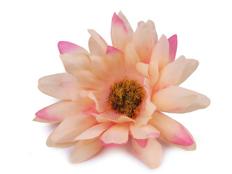 Umělý květ gerbera Ø6,5 cm - 10 ks - 2 pudrová