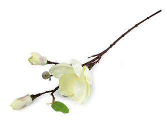 Umělá větvička magnolie - 1 ks - 2 žlutozelená