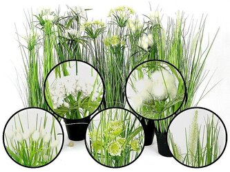 Trawa w doniczce 58cm MIX