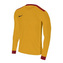 Dres Nike, Park Derby II dlouhý rukáv | Žlutá | L