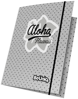 Teczka z gumką PPAH20-109, Paso