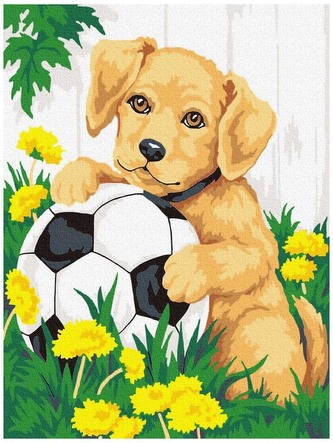 Numeromalowanie Classic 30x40 Słodziak z piłką, iPicasso