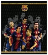 Segregator A4 4-ringowy Barcelona, Optima