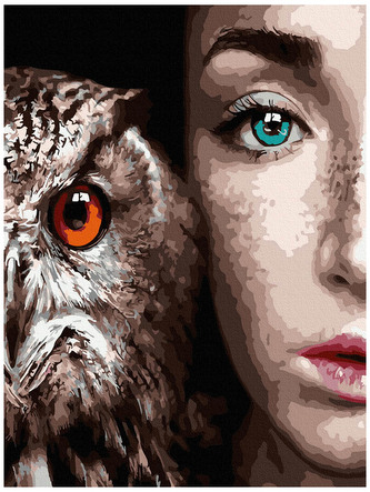 Numeromalowanie Classic 30x40 Spojrzenie pięknych oczu, iPicasso