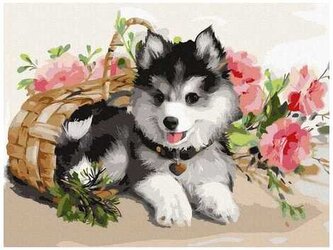 Numermoalowanie Classic 30x40 Pieski, iPicasso