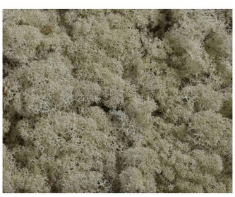 Mech Chrobotek naturalny 125g, Stamperia