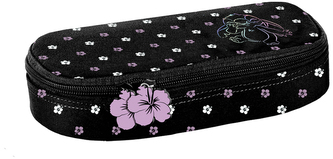 Piórnik DS24EE-013, Paso