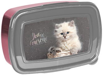 Śniadaniówka PP24AW-3022, Paso