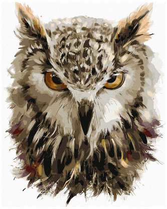 Numeromalowanie Classic 40x50 Nocny ptak PC4050888, iPicasso