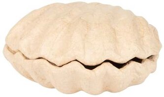 Pudełko w kształcie muszli 12 x 12 x 5 cm BT078 C, Decopatch
