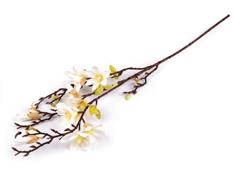 Umělá větvička magnolie - 1 ks - 1 bílá