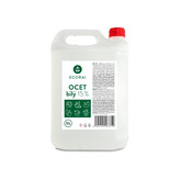 Ecorai Ocet bílý 15 % na úklid extra účinný - kynystr 5 l