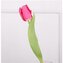 Umělý tulipán tmavě růžový X6862-34