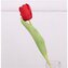 Umělý tulipán červený X6862-08