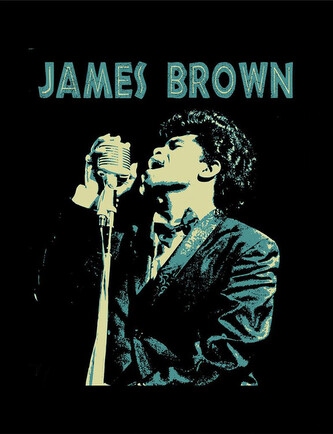 Obraz na zeď - James Brown - Sing, 34.3 x 44.5 cm