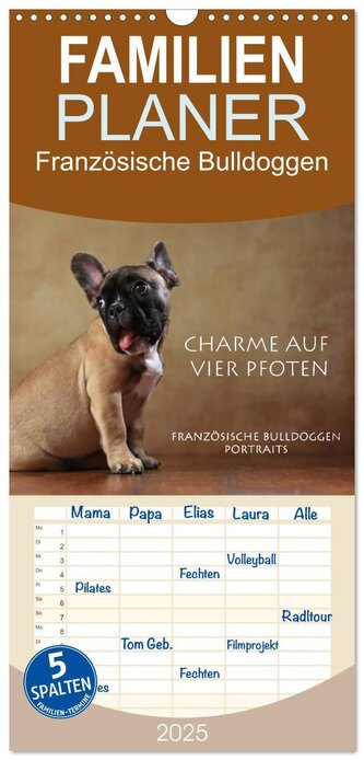 Familienplaner 2025 - Charme auf vier Pfoten - Französische Bulldoggen Portraits mit 5 Spalten (Wandkalender, 21 x 45 cm) CALVEN