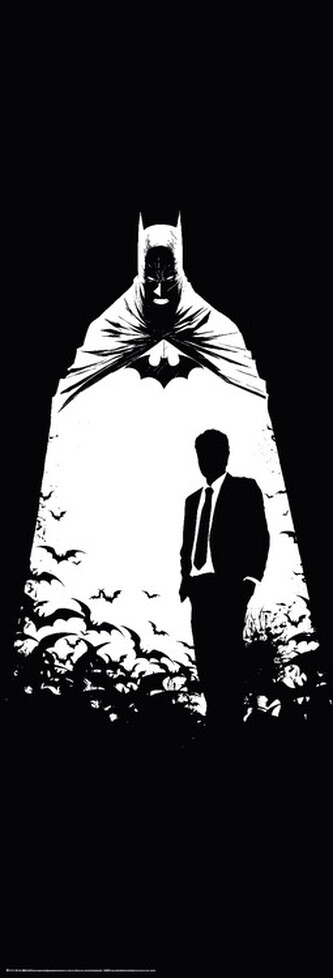 Plakát, Obraz - Batman - Secret Identity, 53 × 158 cm