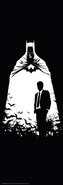 Plakát, Obraz - Batman - Secret Identity, 53 × 158 cm