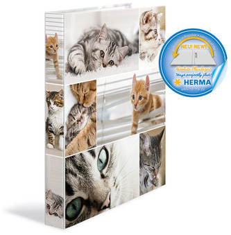 Segregator A4 2R 35mm Koty, Herma