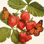 Papírový ubrousek Strawberry & Butterfly