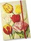 Notýsek Yellow Spring Flowers Tulips
