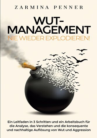 Wut Management - Nie wieder explodieren!