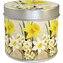 Vonná svíčka v plechové dóze Yellow Spring Flowers Daffodil