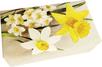 Dárkové mýdlo Daffodil 200 g