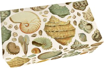 Dárkové mýdlo Seashells 200 g