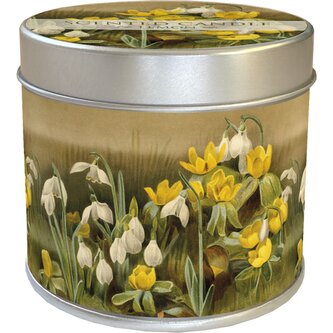 Vonná svíčka v plechové dóze Winter Aconite & Snowdrops