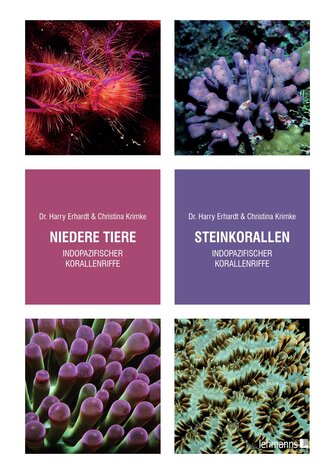 Steinkorallen/Niedere Tiere indopazifischer Korallenriffe