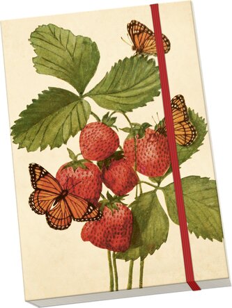 Notýsek Strawberry & Butterfly