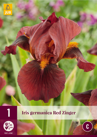 Karta - Kosatec GERMANICA RED ZINGER (1 hlíza) "C"