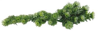 Lucky Reptile Turtle Plants Horn Fern cca 40 cm