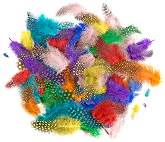 Piórka bażanta 4-7cm 10g brights