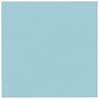 Serwetki 38x38cm Softpoint błękitne, Paw