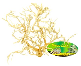 Lucky Reptile Desert Bushes Vybělené cca 15-20 cm