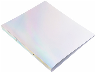 Segregator A4 PP 2 cm 2R Holo, Biurfol