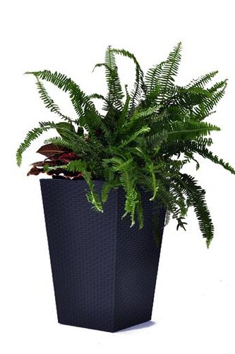 Květináč Keter Rattan Planter M 55,4 l grafitový