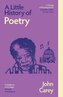 Little History of Poetry