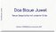 Das Blaue Juwel