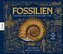 Fossilien - Schätze von Ammoniten bis zum T. Rex
