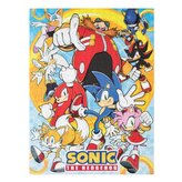 Puzzle Sonic The Hedgehog|Ježek Sonic: Postavy 500 kusů (46 x 61 cm)