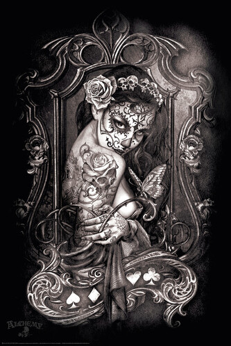 Plakát, Obraz - Alchemy - Widow's Weeds, 61 × 91.5 cm