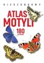 Kieszonkowy atlas motyli