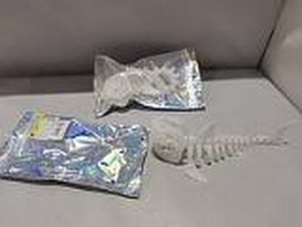 Szkielet ryby świecący w ciemności 20cm MIX