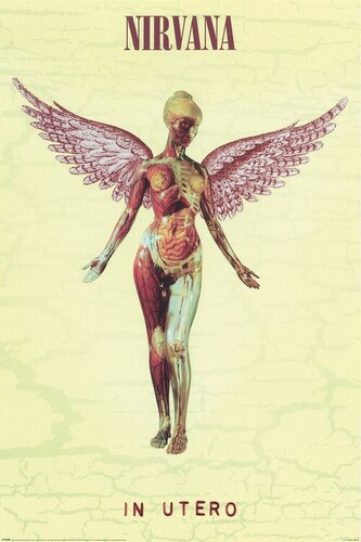 Plakát, Obraz - Nirvana - In Utero, 61 × 91.5 cm