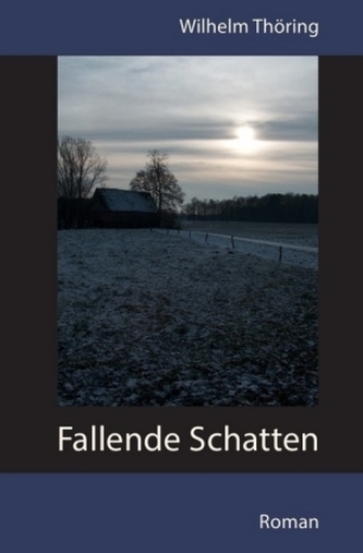 Fallende Schatten Roman