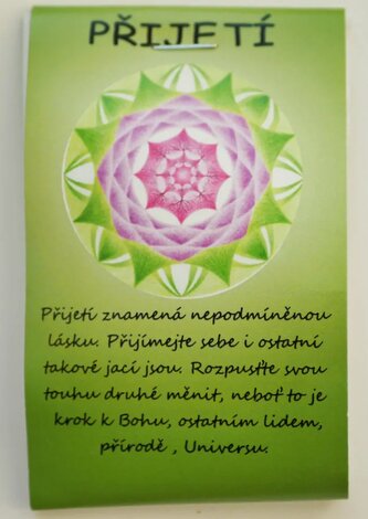 Čajíček - přijetí